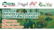 evento-FAI-CISL-Reggio-Calabria