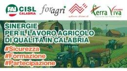 evento-FAI-CISL-Reggio-Calabria